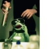Kermit the frog 23