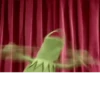 Kermit the frog 24