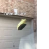 Frogs_Toads 26