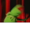 Kermit the frog 26
