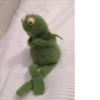 Kermit the frog 27