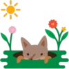 Facebook Foxer 26