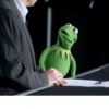 Kermit the frog 28
