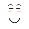 Model faces roblox 9