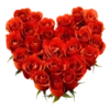 Flowers Time 14