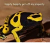 Frogs_Toads 29