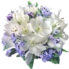 Flowers Time 15
