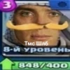 3 Тмс Шлб 8-й уровень 848/400