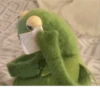 Kermit the frog 29