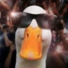 Ducks and Geese 5