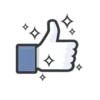 Facebook Likes 6