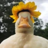 Ducks and Geese 10