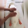Ducks and Geese 13