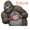 Gorilla Gorilla 6