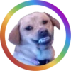 Dog Faces @stickersb2b 5