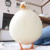 Ducks and Geese 16