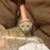 а кому сечяс лехко