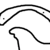 Flork.. 12