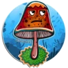 Green Submarine Family 13