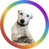 Dog Faces @stickersb2b 7