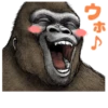 Gorilla Gorilla 15
