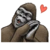 Gorilla Gorilla 16