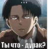 Ты что - дурак?