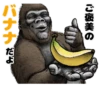 Gorilla Gorilla 17