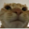 Стики 2679 из @Anonymnyi_chat_bot 18