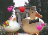 Ducks and Geese 20