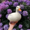 Ducks and Geese 21