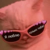 Favorite stickers :: 14