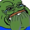 Rana Pepe 17