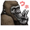 Gorilla Gorilla 20