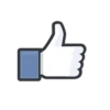 Facebook Likes 10