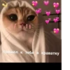Favorite stickers :: 22