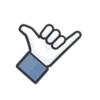 Facebook Likes 11