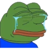 Rana Pepe 19