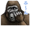 Gorilla Gorilla 28