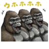 Gorilla Gorilla 29