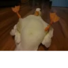 Ducks and Geese 30