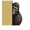 Gorilla Gorilla 30