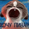 #zelenskiy meme «🇺🇦 by 11
