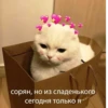 Стикеры👉 11