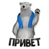 MDK Novosibirsk 9