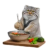 Everyday Manul @animalplantspb 11