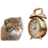 9 10 11 112 8 76 1