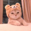 𖦹࣪ ˖  cutie kittens  、@stickernct 🍥 ও 14