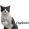 (хуйня)