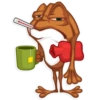 Mr. Frogo 9